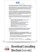 Business Growth Accelerator Program