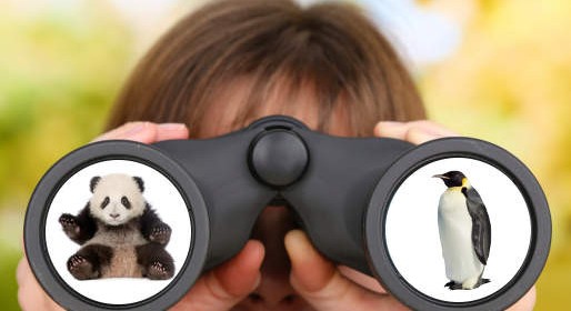 Using Google Analytics to Identify Google Penalties